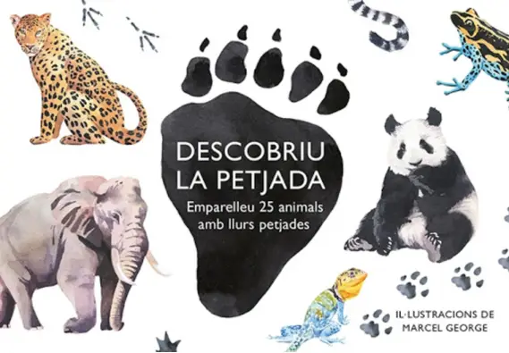 Imagen del producto 8425402405857