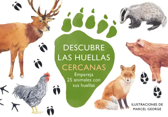 Imagen del producto 8425402888728