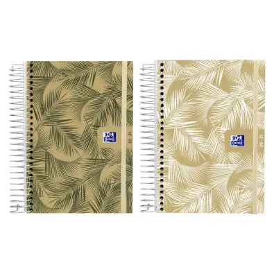 Imagen del producto 8427291022405