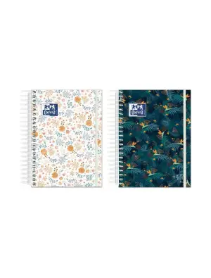 Imagen del producto 8427291022436