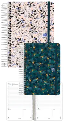 Imagen del producto 8427291023303