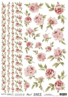 Imagen del producto 8434910000539