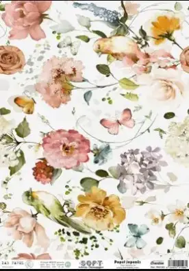 Imagen del producto 8434910015984