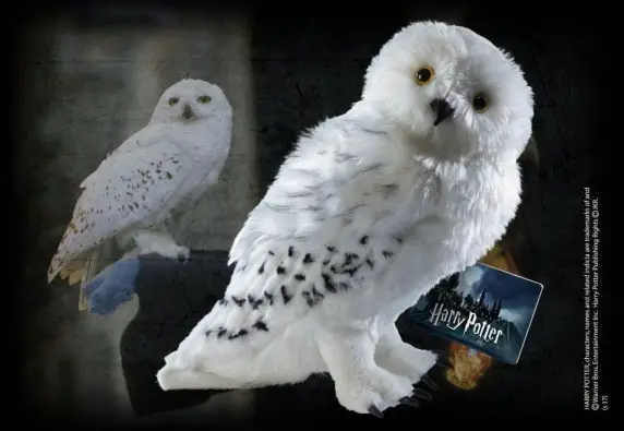 Harry Potter - Peluche Hedwige 30cm