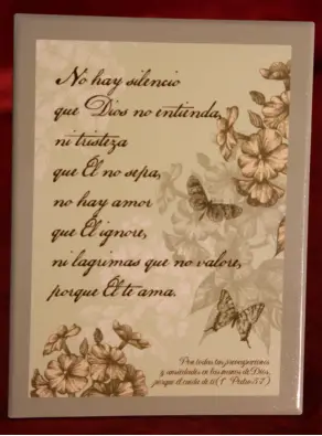 Imagen del producto 9780617920090