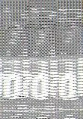 Imagen del producto 9781405065955