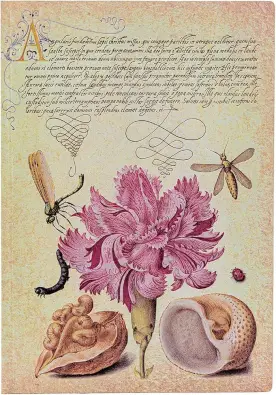 Imagen del producto 9781439797273