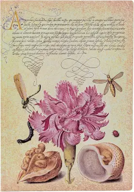 Imagen del producto 9781439797280