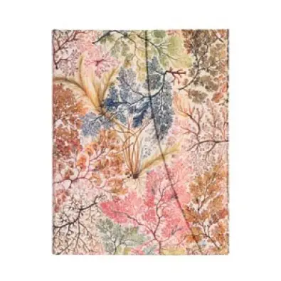 Imagen del producto 9781439799024