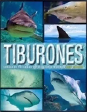 Imagen del producto 9781474816816