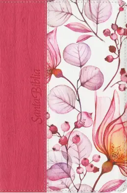 Imagen del producto 9781496446923