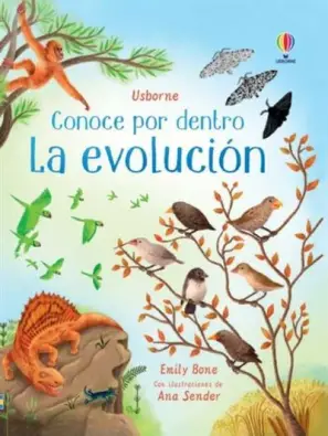 Imagen del producto 9781801315906
