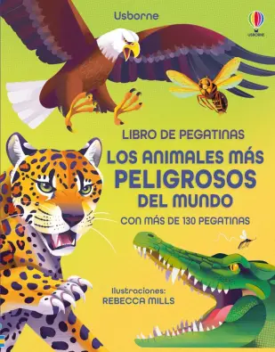 Imagen del producto 9781836060406