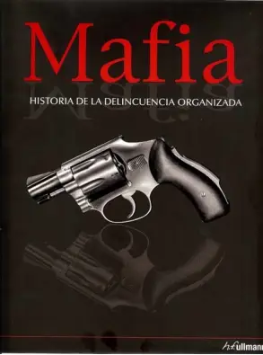 Imagen del producto 9783833156397