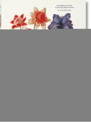 Imagen del producto 9783836591928