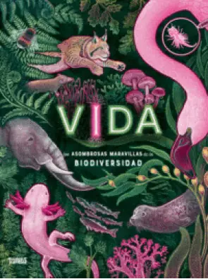 Imagen del producto 9786075840338