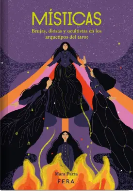 Imatge del producte 9786316541246