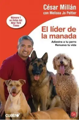 Imagen del producto 9788403506305