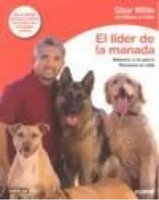 Imagen del producto 9788403596184