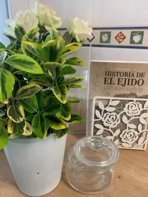 Imagen del producto 9788409146536