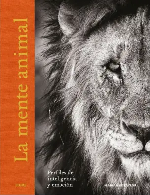 Imagen del producto 9788410048621