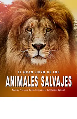Imagen del producto 9788410101364
