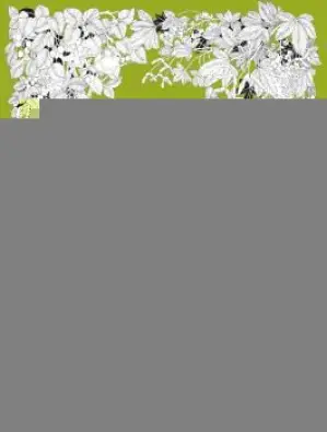 Imagen del producto 9788410268531