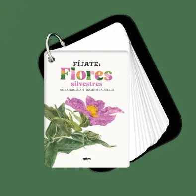 Imagen del producto 9788410407572