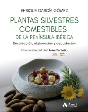 Imagen del producto 9788410451384