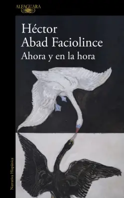 Imagen del producto 9788410496316