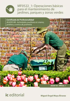 Imagen del producto 9788411037952