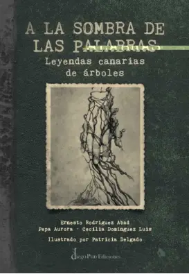 Imagen del producto 9788412095937