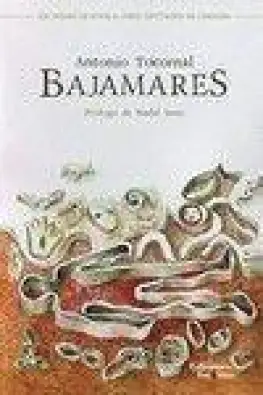 Imagen del producto 9788412103731