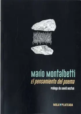 9788412138016