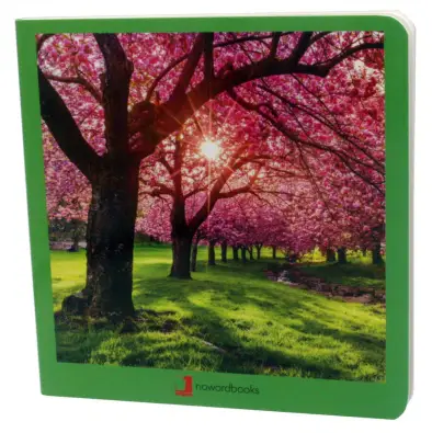 Imagen del producto 9788412171006