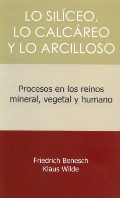 Imagen del producto 9788412208924