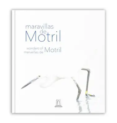 Imagen del producto 9788412263534