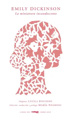 Imagen del producto 9788412314304