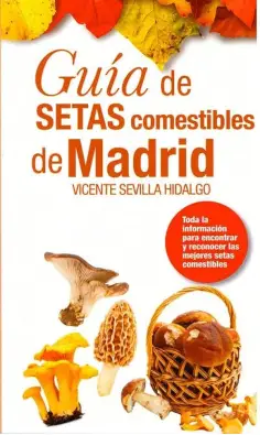 Imagen del producto 9788412321340