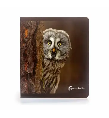 Imagen del producto 9788412344578