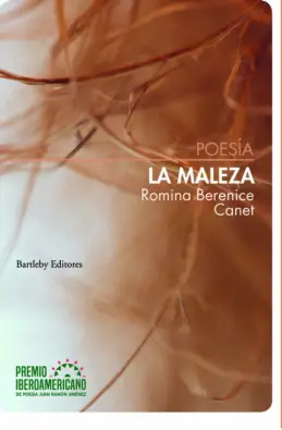 Imagen del producto 9788412594089