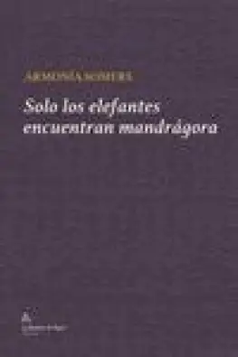 Imagen del producto 9788412631203