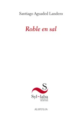 Imagen del producto 9788412915235