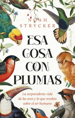 Imagen del producto 9788412953114