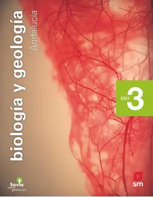 Imagen del producto 9788413184807