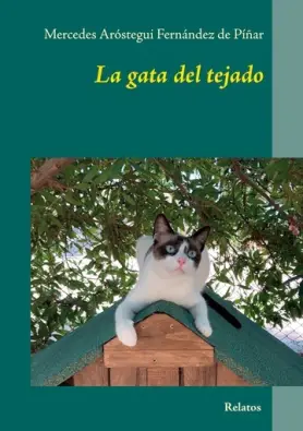 Imagen del producto 9788413264608
