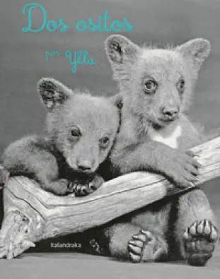 Imagen del producto 9788413431161