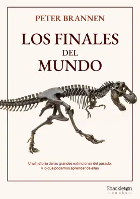 Imagen del producto 9788413611853