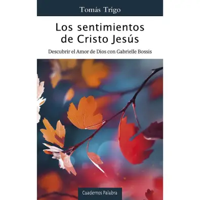 Imagen del producto 9788413683003