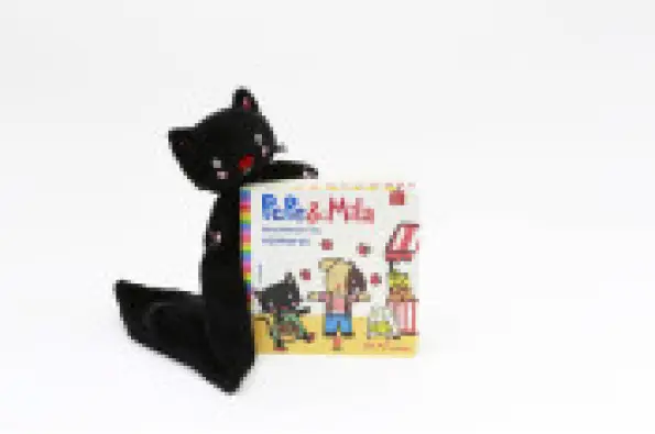 Imagen del producto 9788413922263